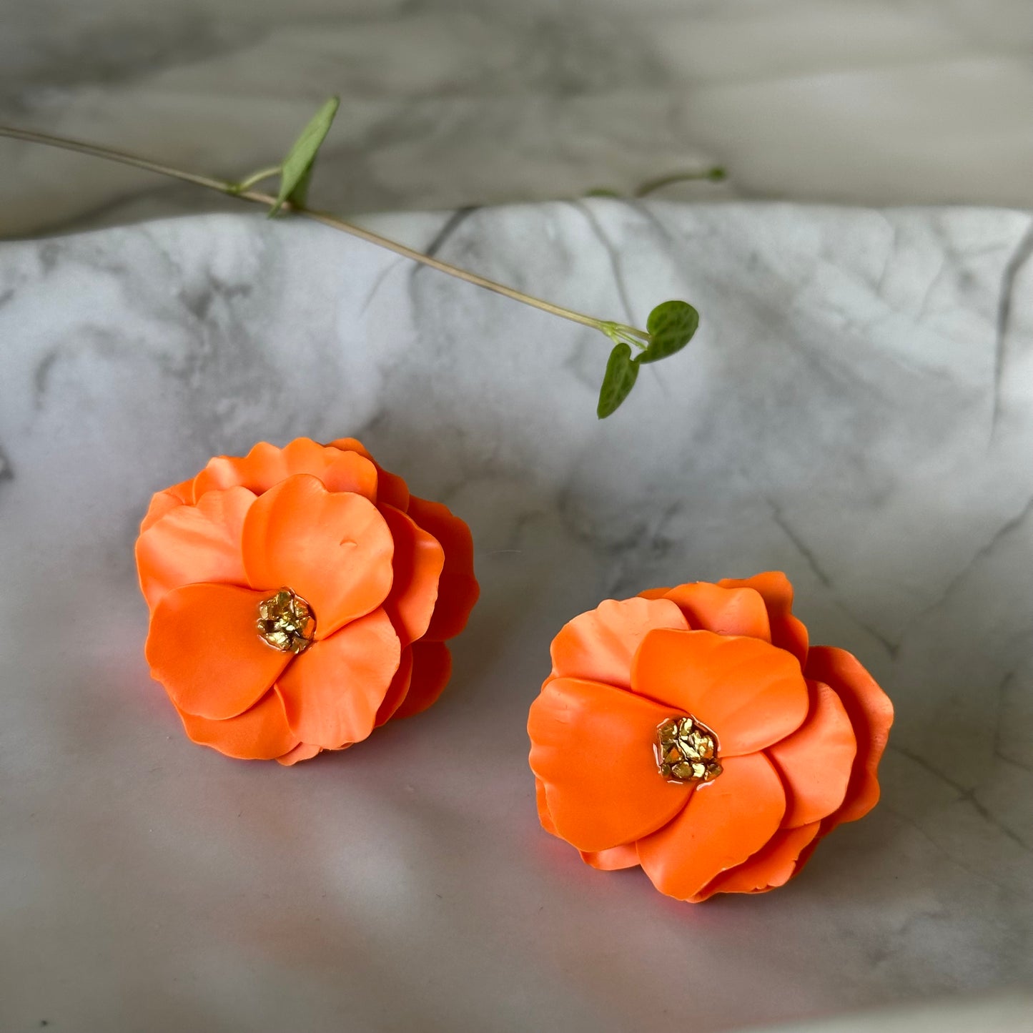 Aros Domi (Naranjos)