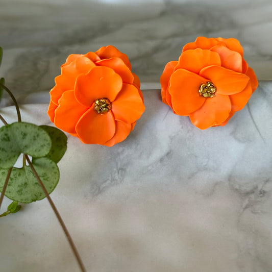 Aros Domi (Naranjos)